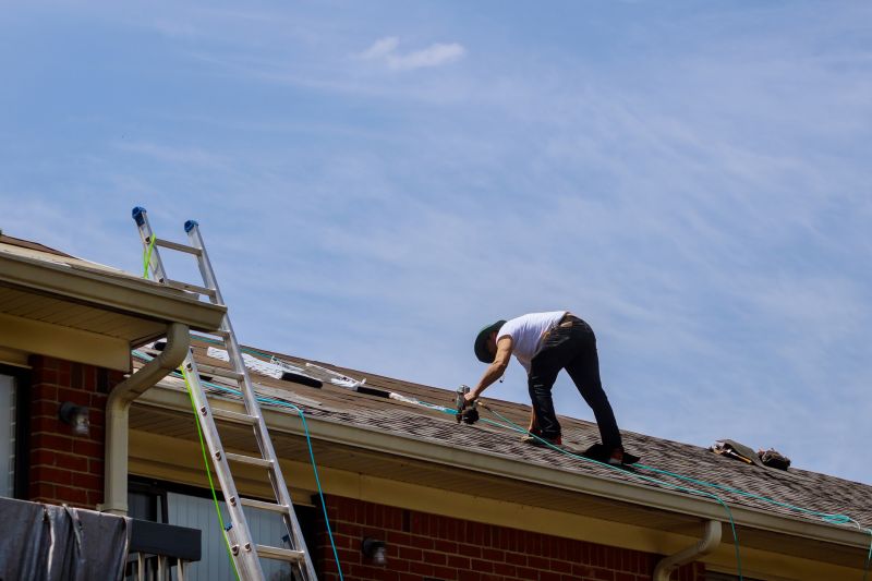 Shed Roof Repair