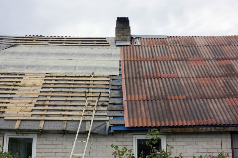 Shed Roof Repair