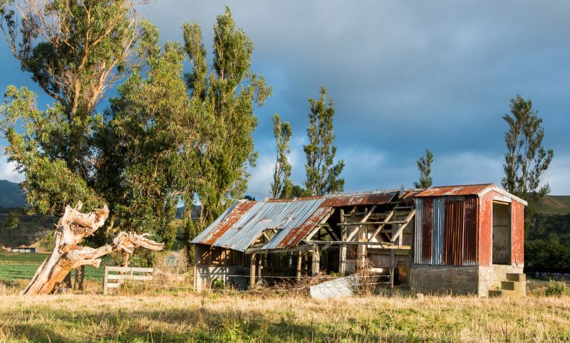 Shed Roof Repair